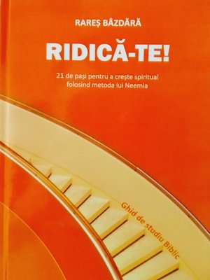 cover image of RIDICA-TE!
